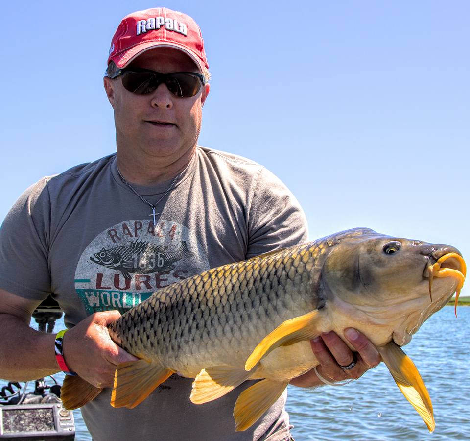 Not your grandpa's panfish rod, the Bullwhip is a jack-of-all